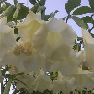 Meet your Posher, Tatiana